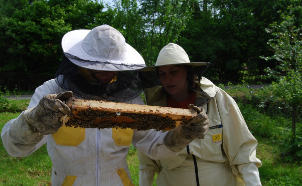 Včelařem na zkoušku