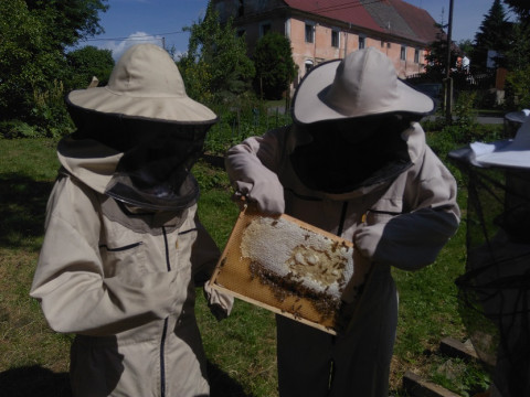 Včelařem