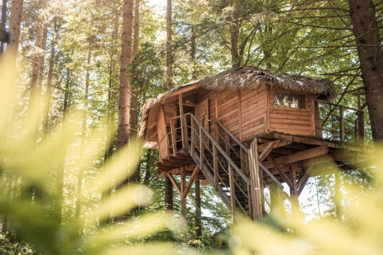 Tree house Šumava - ubytování v korunách stromů