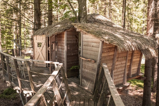 Tree house Šumava - terasa