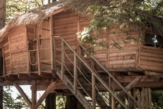 Tree house Šumava
