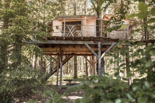 Tree house Šumava - noc v korunách stromů