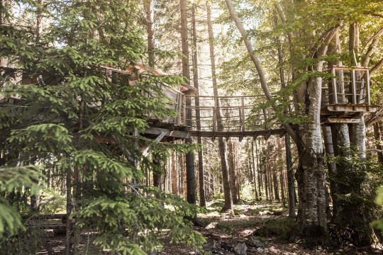 Tree house Šumava - most na vyhlídku