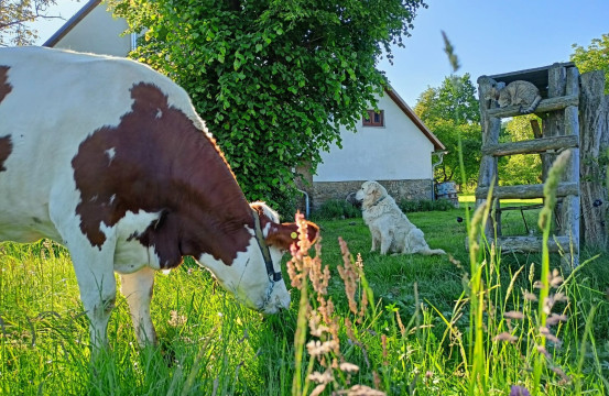 Farmářem na farmě