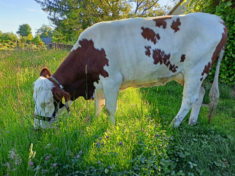 Farmářem na farmě