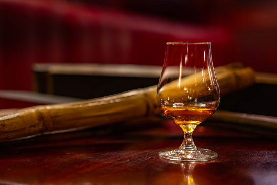 Degustace rumů Premium