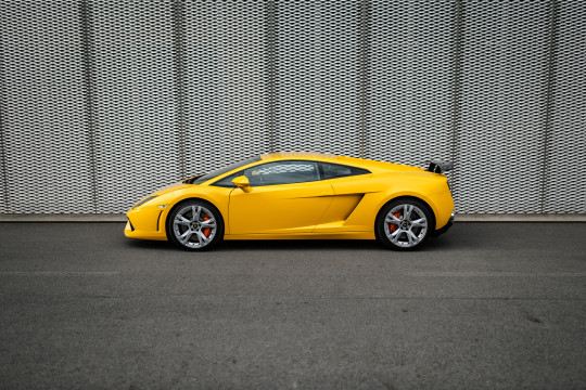 Ferrari vs. Lamborghini