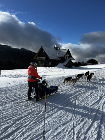 Mushing - psí spřežení (Pec pod Sněžkou)