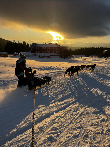 Mushing - psí spřežení (Pec pod Sněžkou)