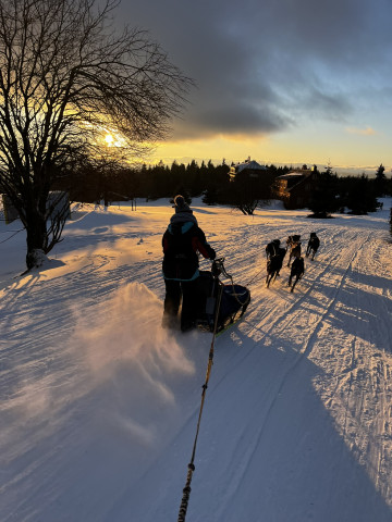 Mushing - psí spřežení (Pec pod Sněžkou)