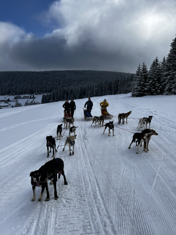Mushing - psí spřežení (Pec pod Sněžkou)