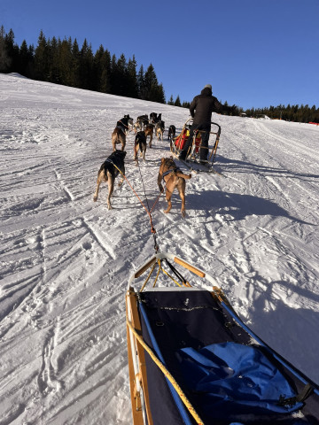 Mushing - psí spřežení (Pec pod Sněžkou)