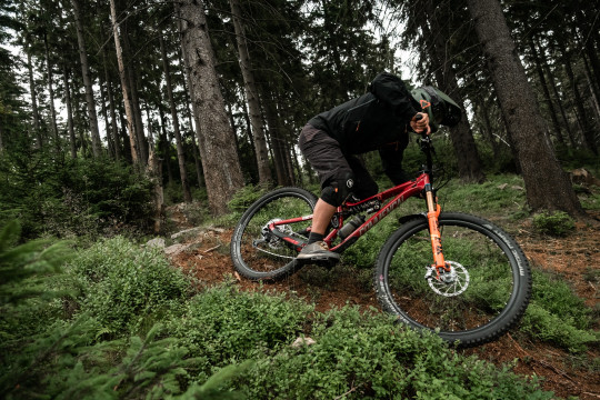 Cyklovýlet na Praděd a Dlouhé stráně