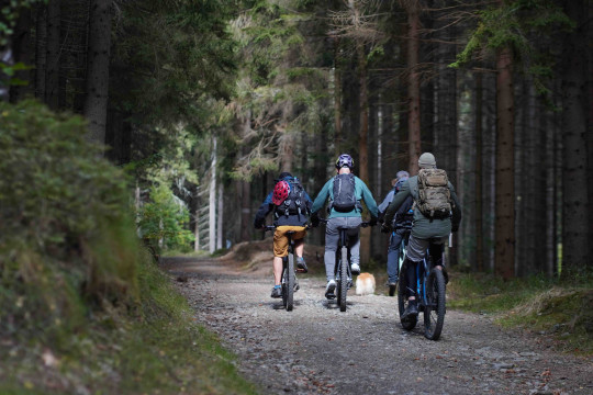 Cyklovýlet na Praděd a Dlouhé stráně